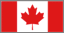 USA flag icon