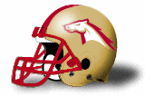 Birmingham Stallions Helmet